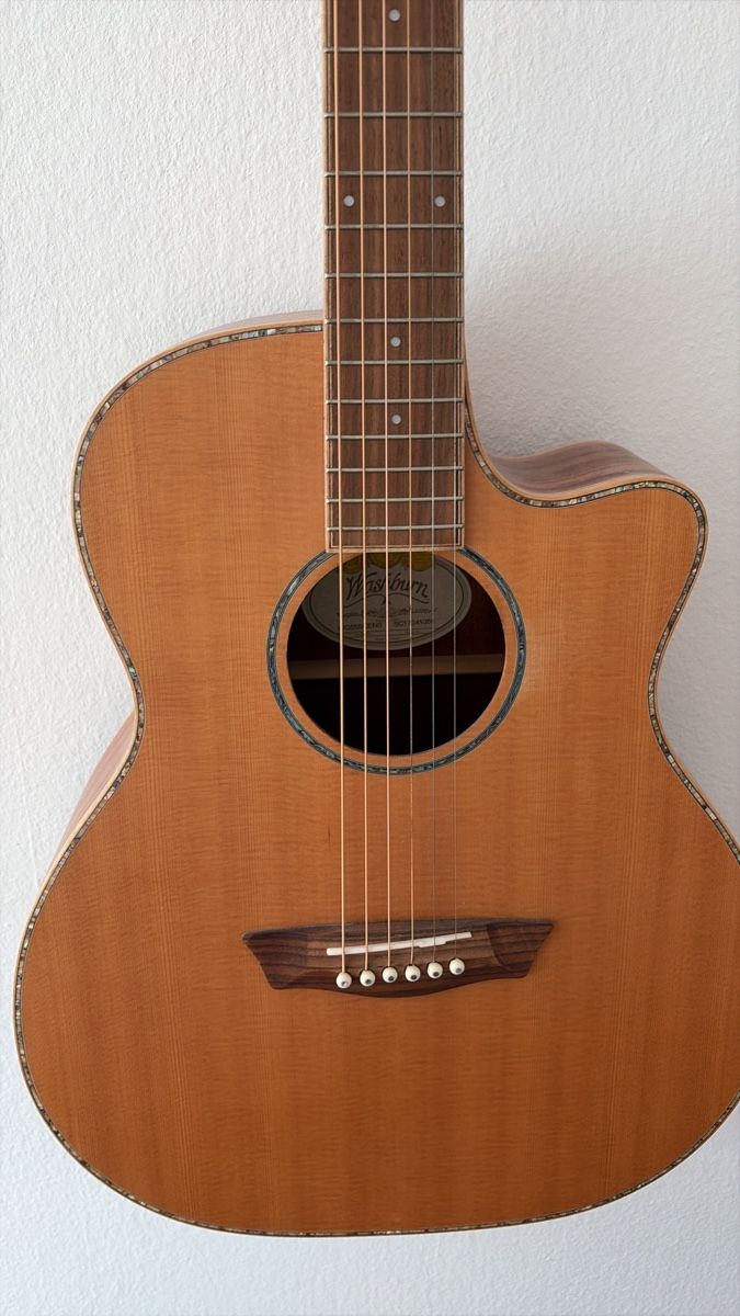 Strumenti musicali: Western Gitarre Washburn WG55SCENS – Usato da Schlieren venduto da maybe5 1