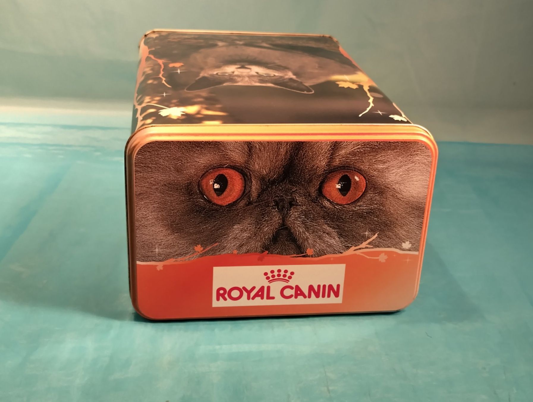 Sonstige Dekorationen & Accessoires: Grosse ROYAL CANIN Blechbüchse, Katzen – Gebraucht aus Bellach von JingleCherry 4