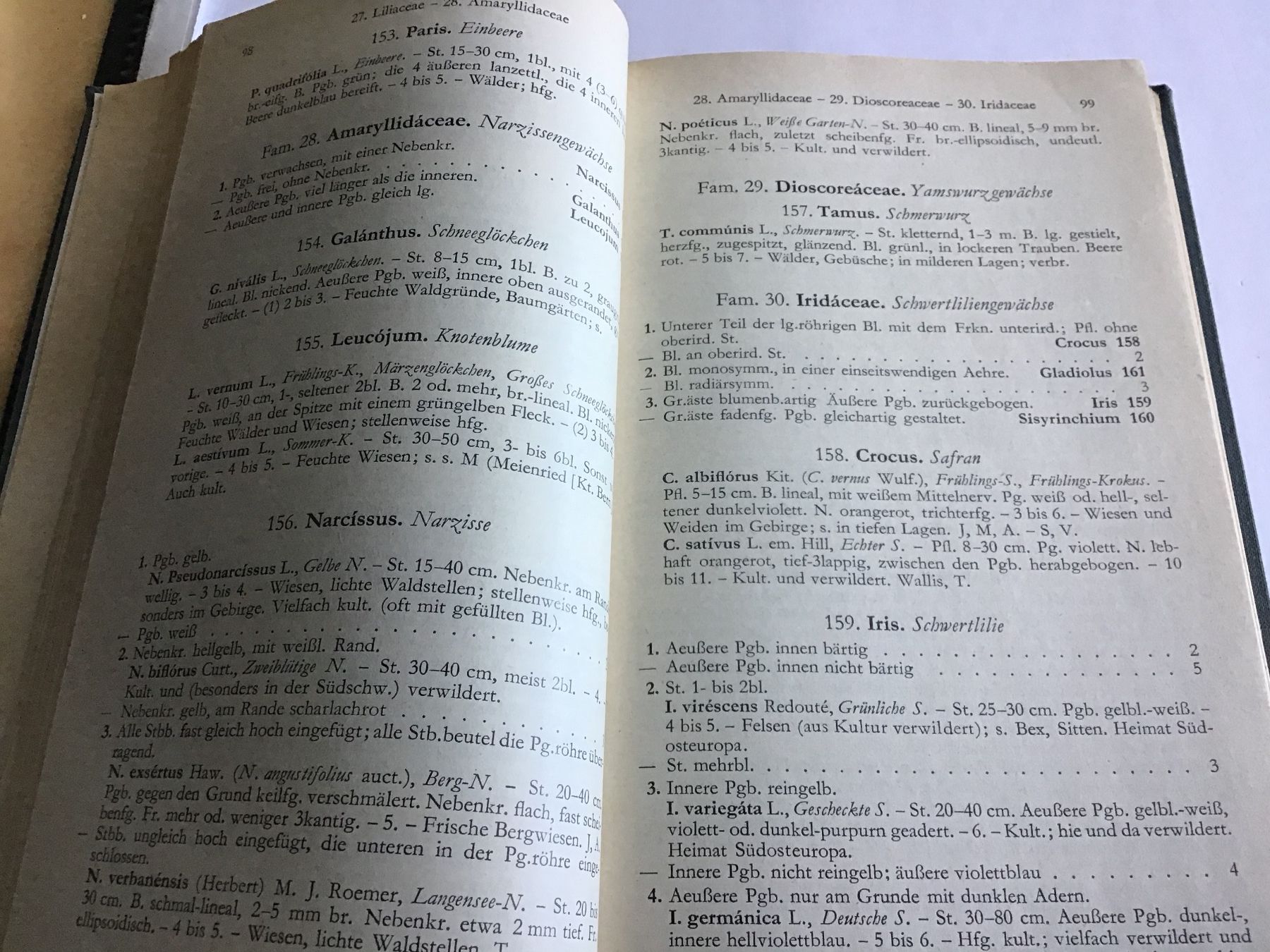 Libri: Pflanzenbestimmung, Binz-Becherer, 1966 – Usato da Rüti ZH venduto da Phaeton10 2