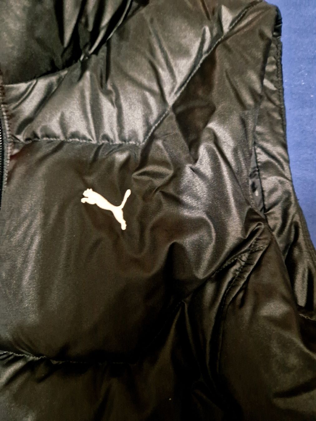 Puma Gilet & Giacche: Gilet Puma taille M neuf – Nuovo (secondo la descrizione) da Undervelier venduto da Tufitufi7 1