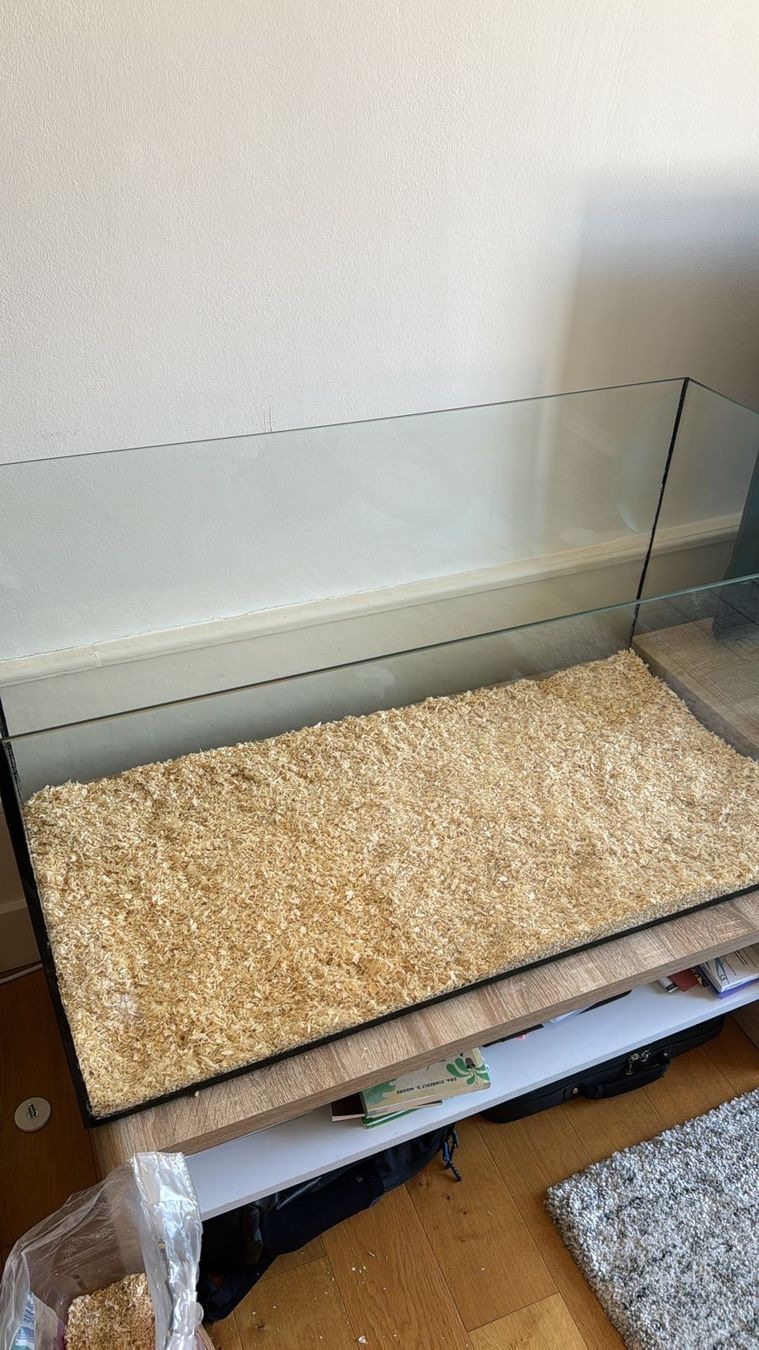 Terrariums: Cage/terrarium hamster – D'occasion à Porrentruy par jac_7zzy