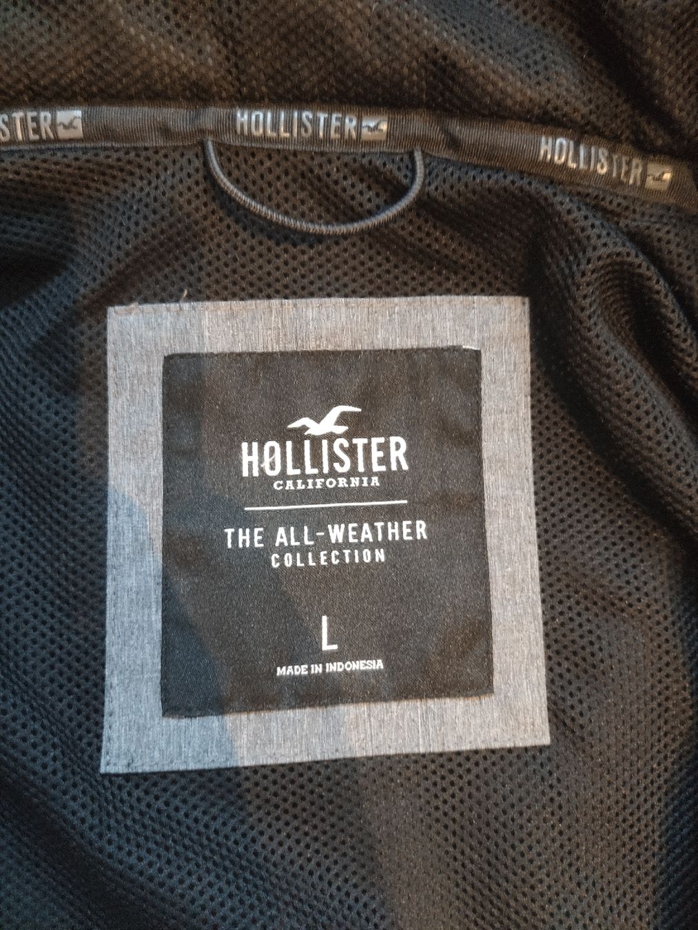 Hollister Giacche: Hollister Jacke L – Usato da Zürich venduto da Claude_ 3