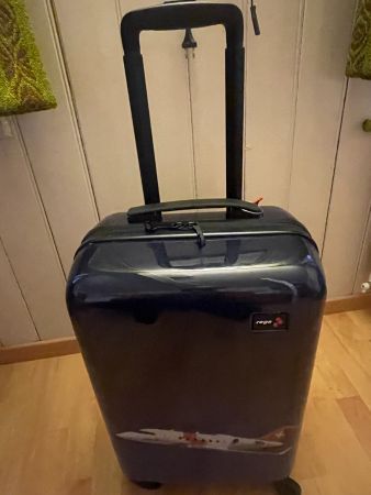 Handgepäck