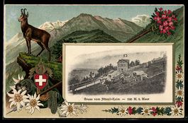 AK Hörnli-Kulm, Ortspartie mit Kühen