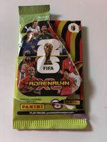Trading Cards WM Panini World Cup 