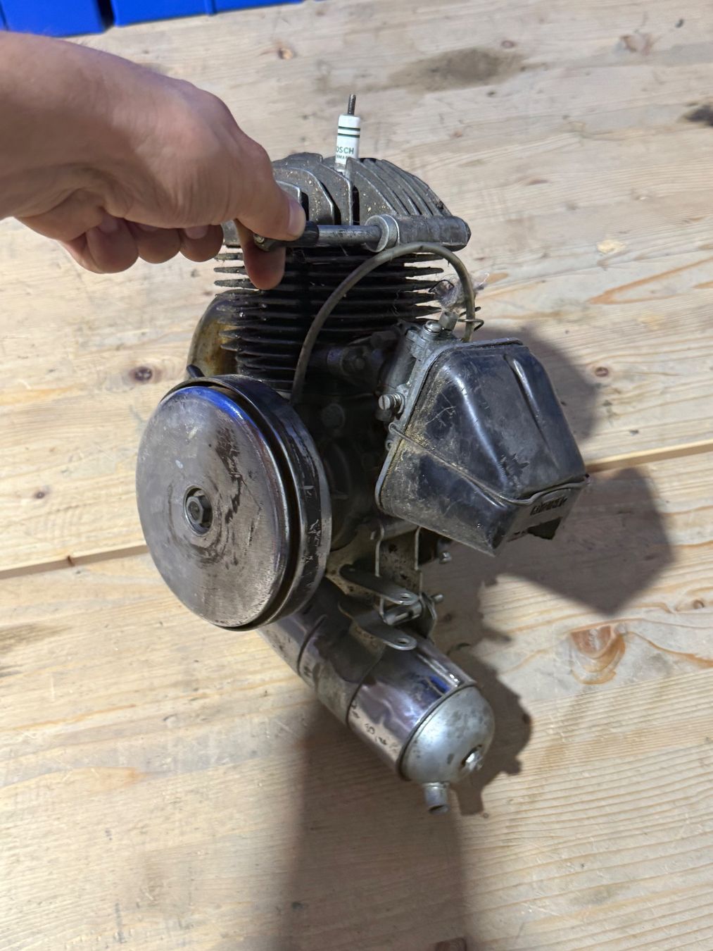 Mofas: Motonecane Motor Occ – Gebraucht aus Hallau von mofaplus 2