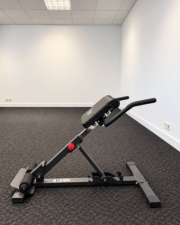 Hometrainer: CRIVIT Rücken & Bauchtrainer  – Usato da Steinhausen venduto da aal_dt27 1