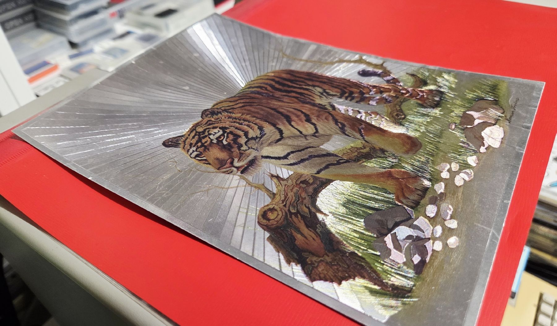 Foto & Immagini: Dufex Print - Bengal Tiger - Glänzend - 1990 - A5 – Usato da Reinach BL venduto da _MasterK_ 1