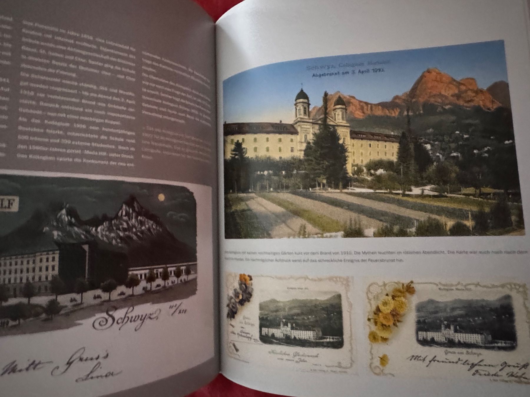 Libri: Gruss aus Schwyz, Ansichtskarten, Geschichtsbuch – Usato da Seewen SZ venduto da web_ 2