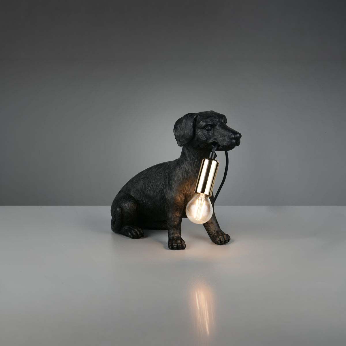 Lampade: Tischleuchte, Hund, 24 cm Höhe – Nuovo (secondo la descrizione) da Kreuzlingen venduto da Smart-Light