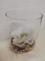 Deko Glas mit Wachsblume