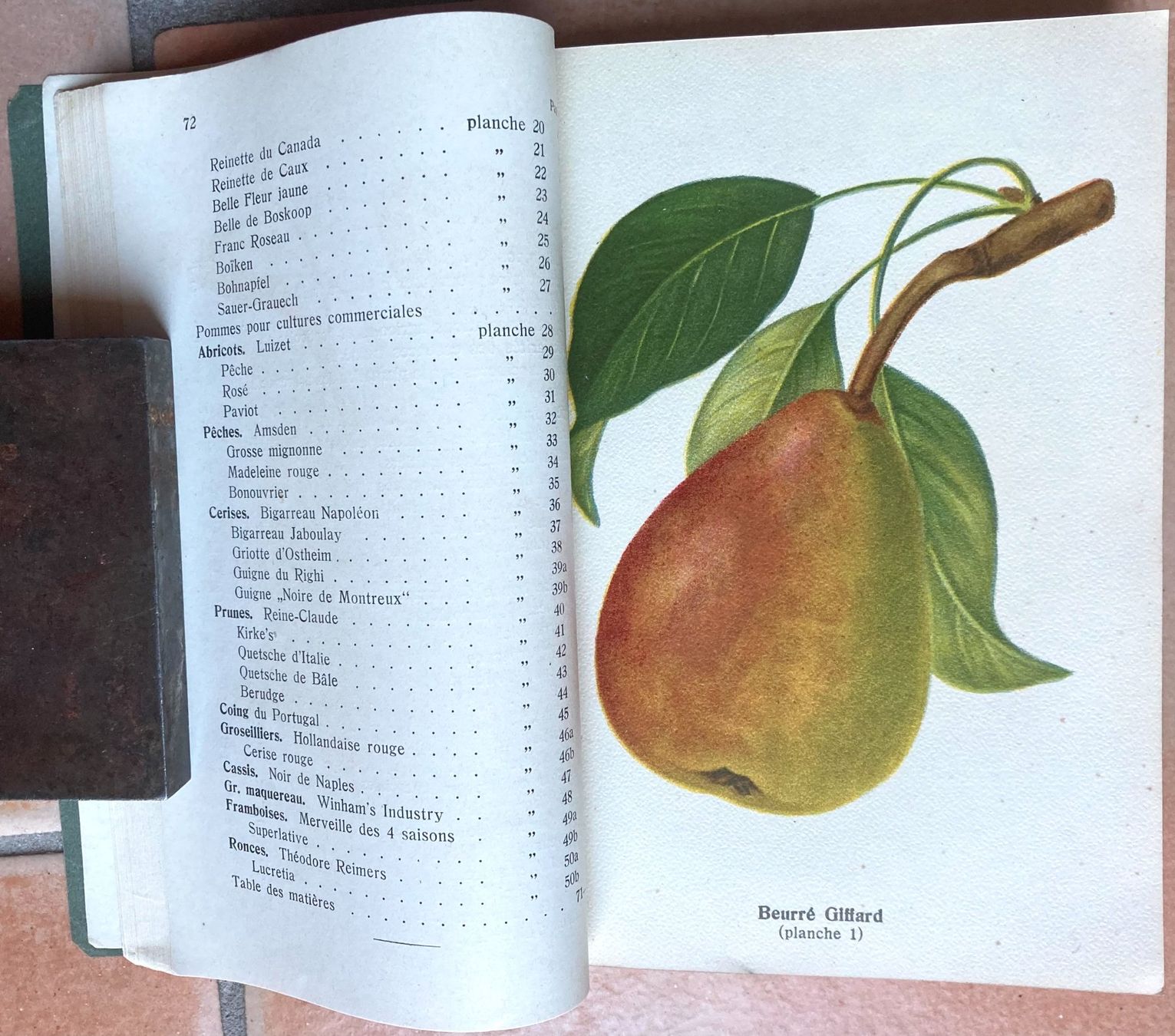 Bücher: Pomologie Romande Illustrée - 1916 – Gebraucht aus Versoix von HELVETICA_1 6