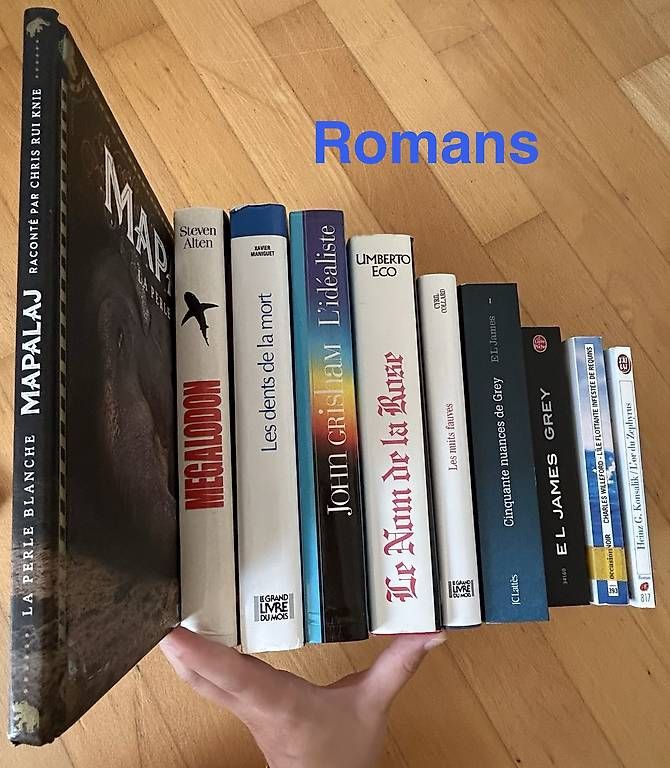 Bücher: Lot de 5-6, Divers romans  – Gebraucht aus Avry-sur-Matran von aur_c2nb
