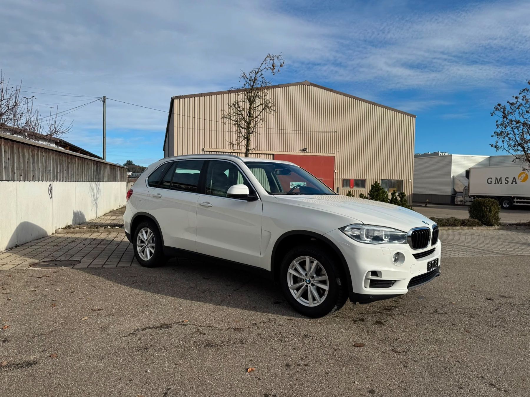BMW Automobili: Bmw X5 xDrive 25d – Usato da Flawil venduto da ruz_9nzy 2