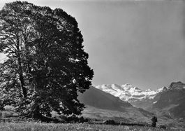 Raron VS - Bietschhorn G