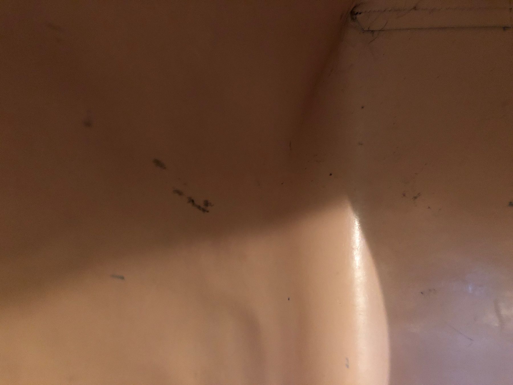 Mansur Gavriel Borse da donna: GAVRIEL MANSUR Bag – Usato da Zürich venduto da Chanelle07 7
