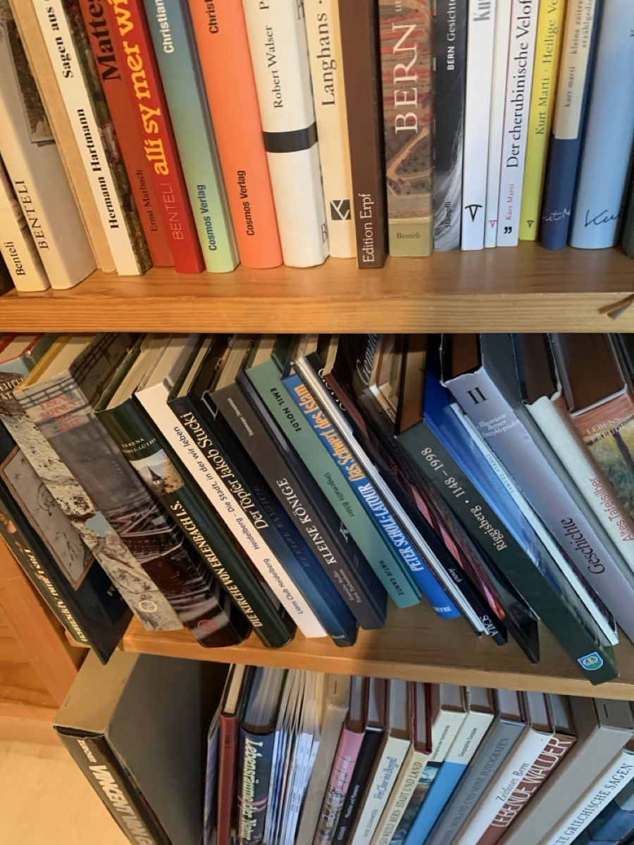 Libri: Lot Bücher mit Gestell – Usato da Murgenthal venduto da Padoni60 5