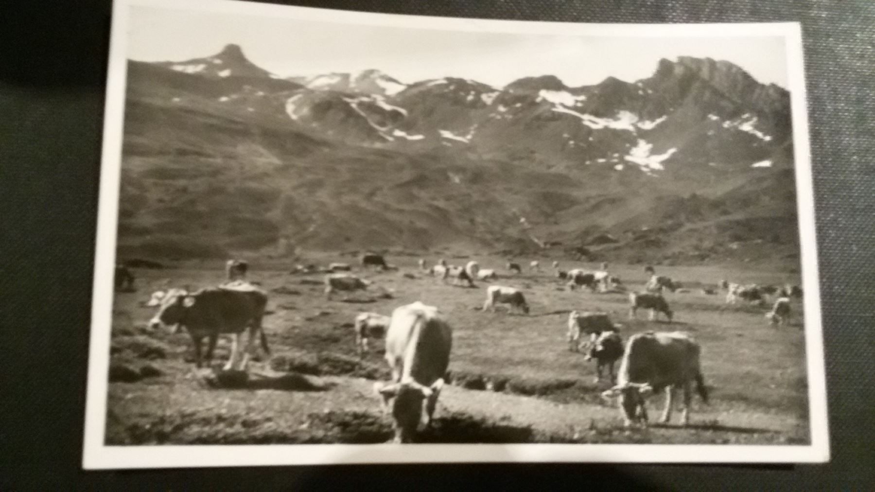 Cartes postales: Alp Fursch - Flums – Antique à Bischofszell par Joachim-115