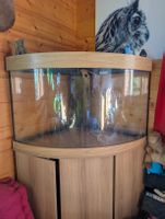 Aquarium Juwel Trigon 190 avec meuble chêne 