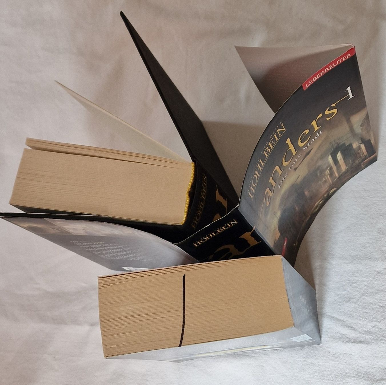 Libri: 7 Bücher von Hohlbein, auch einzeln möglich – Usato da Uitikon Waldegg venduto da Smeragol 3