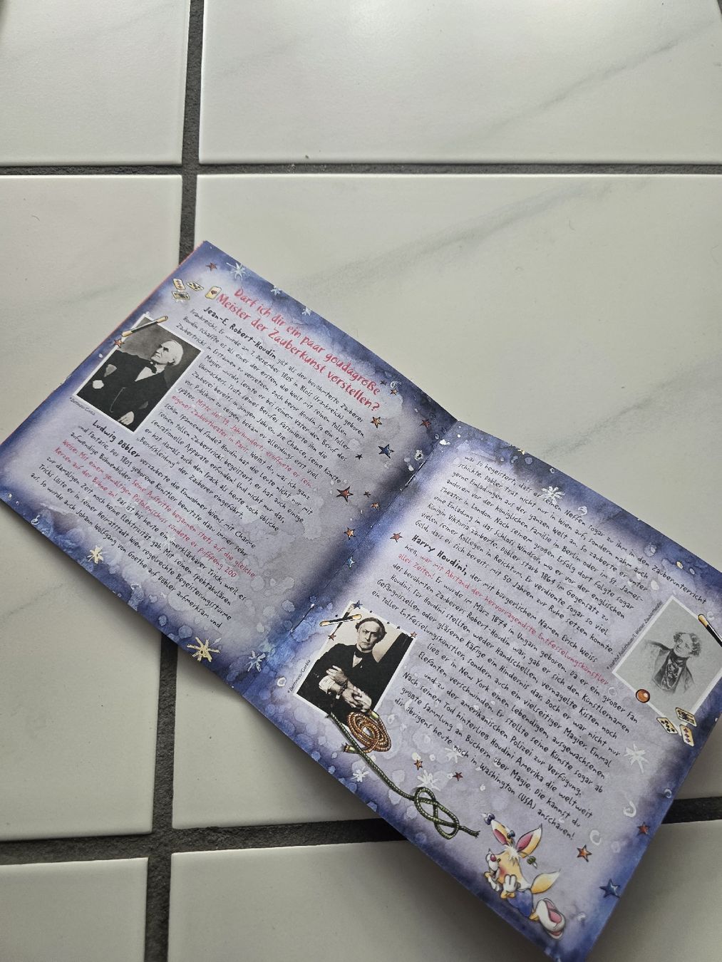 Bücher: Diddl Zauberwelt – Gebraucht aus Egerkingen von Toengi01 1