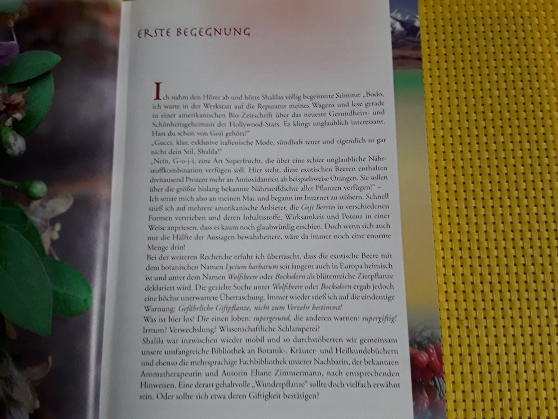 Bücher: Goji - Die ultimative Superfrucht – Gebraucht aus Rebstein von Buchsi03 3