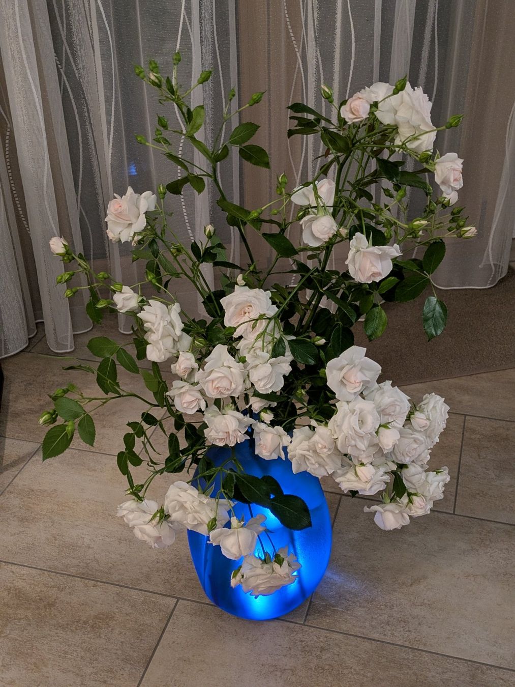 Vasi & Recipienti: Bodenvase Glas blau matt 34.5 cm – Usato da Zetzwil venduto da Stritzi 1