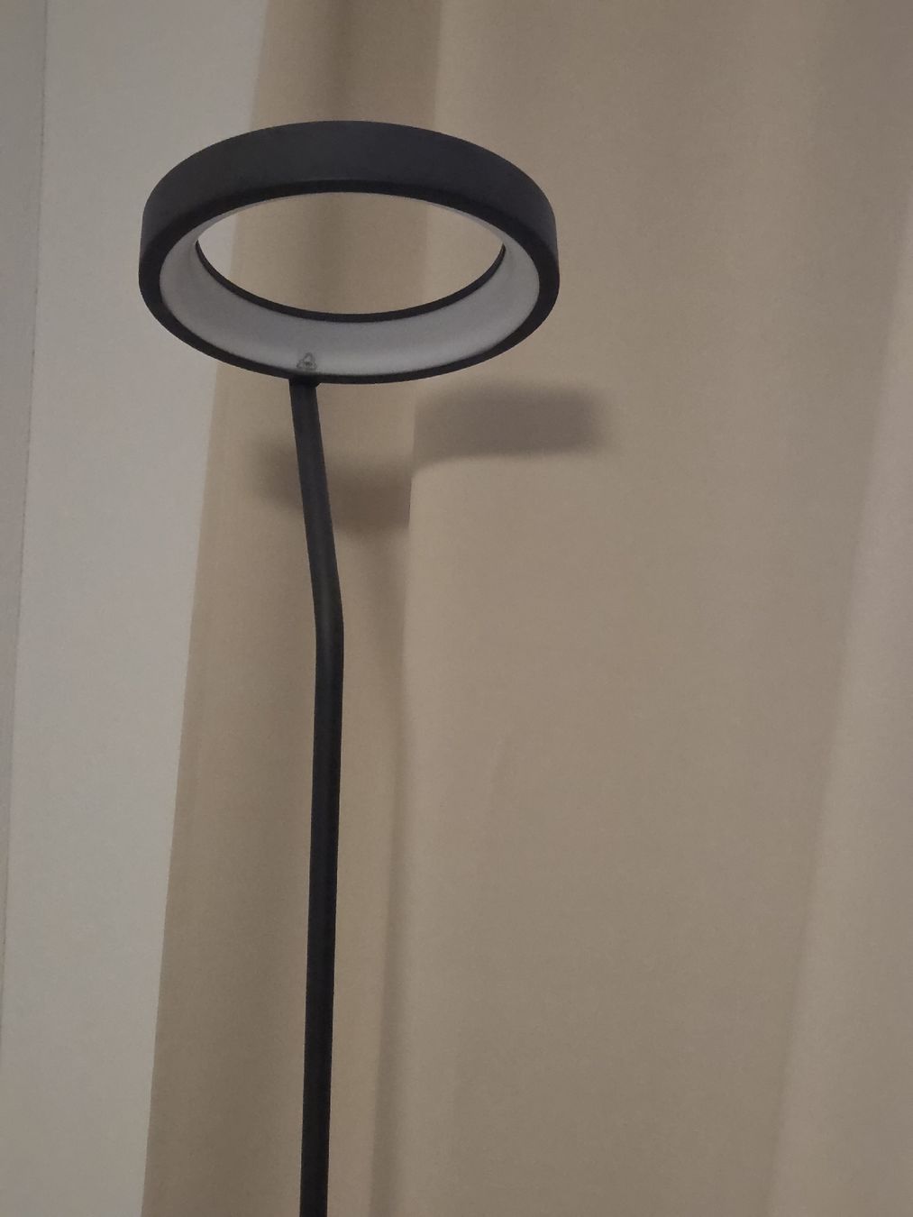 Lampen: Black LED Ring Floor Lamp 160cm – Gebraucht aus Horgen von Hunninko 3