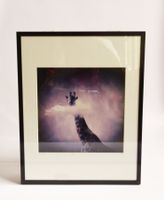 Denis Olivier France – Giraffen Fotografie signiert – 40x50