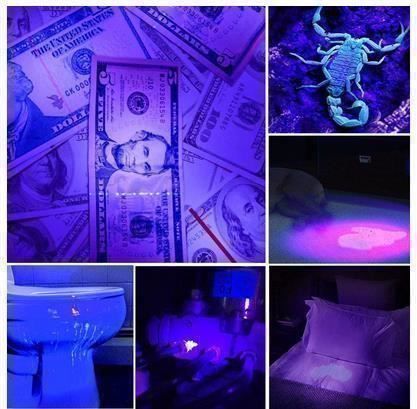 Lampade: Ultraviolette LED-Taschenlampe – Nuovo e nell'imballaggio originale da Gurmels venduto da Swisspod 4