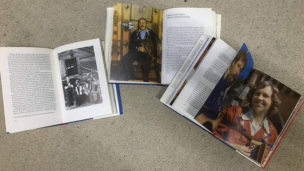 Libri: Ländler-Volksmusik – Usato da Pitasch venduto da Haui0 1