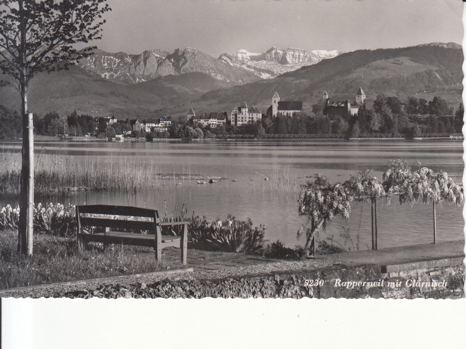 Cartoline postali: Rapperswil 1952 – Usato da Bürglen TG venduto da StampGraf