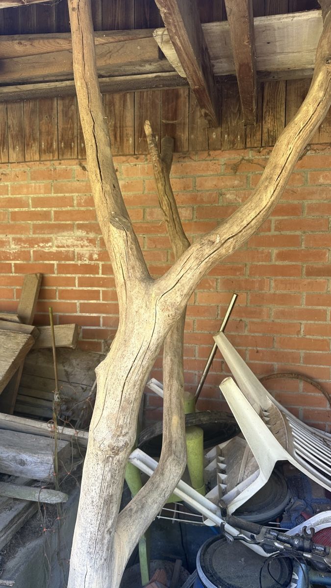 Katzenbaum - Kratzbaum: Kratzbaum – Gebraucht aus Mittelhäusern von mammut78 2