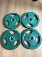 Hantelscheiben 4x 10kg grün 51mm Bohrung