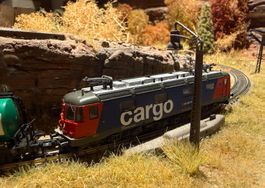 Fleischmann Re 620 060-4, SBB Cargo, 734191