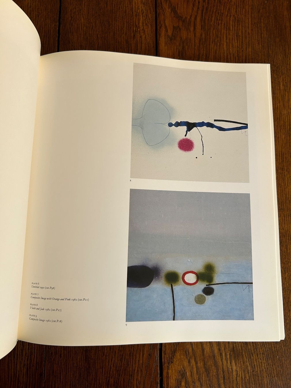 Livres: Victor Pasmore - Paintings and graphics 1980-92 – D'occasion à Basel par Peter_schlemihl 2