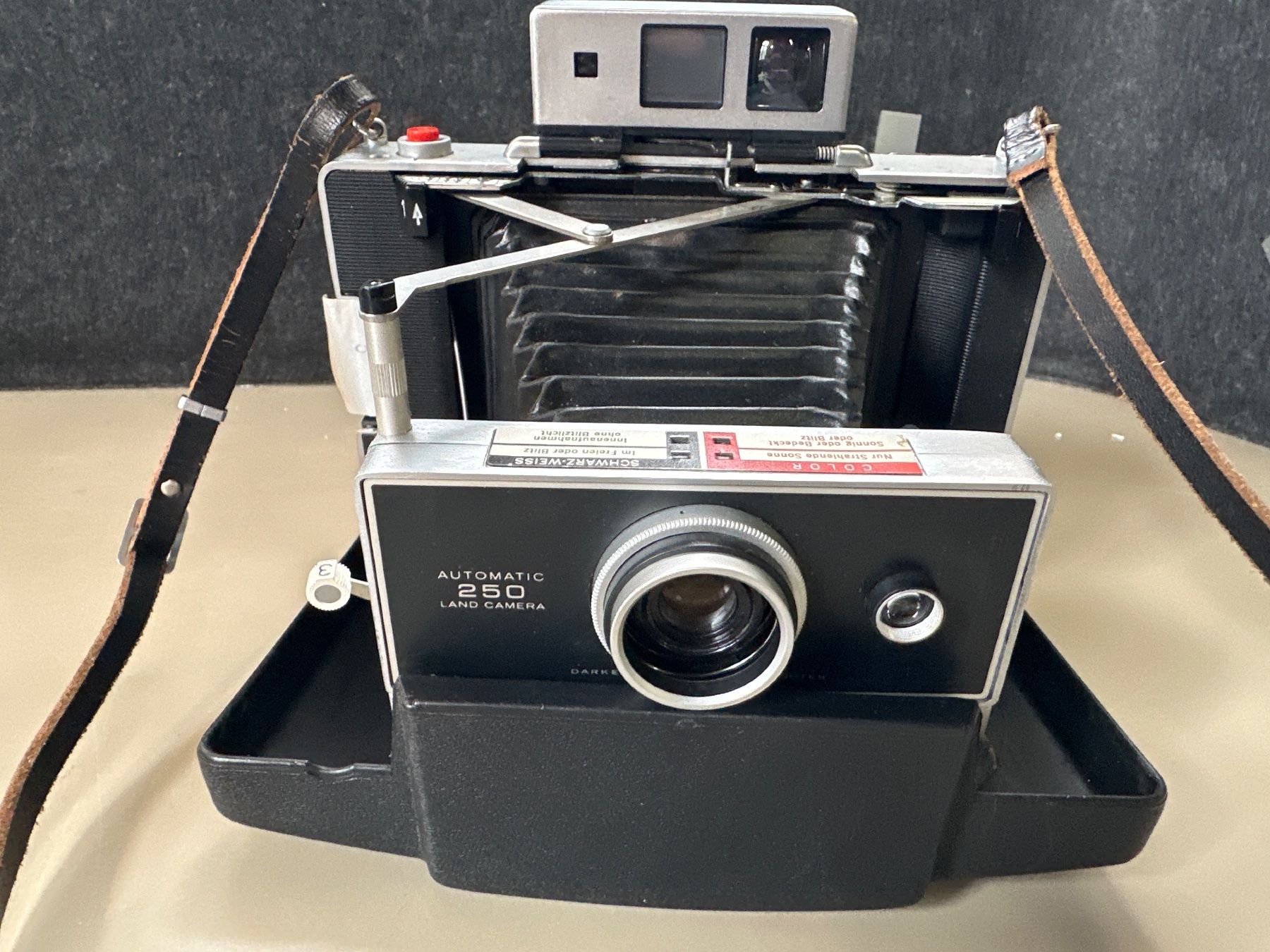 Polaroid Fotocamera: Polaroid 250 – Usato da Brügg BE venduto da TSP02 1