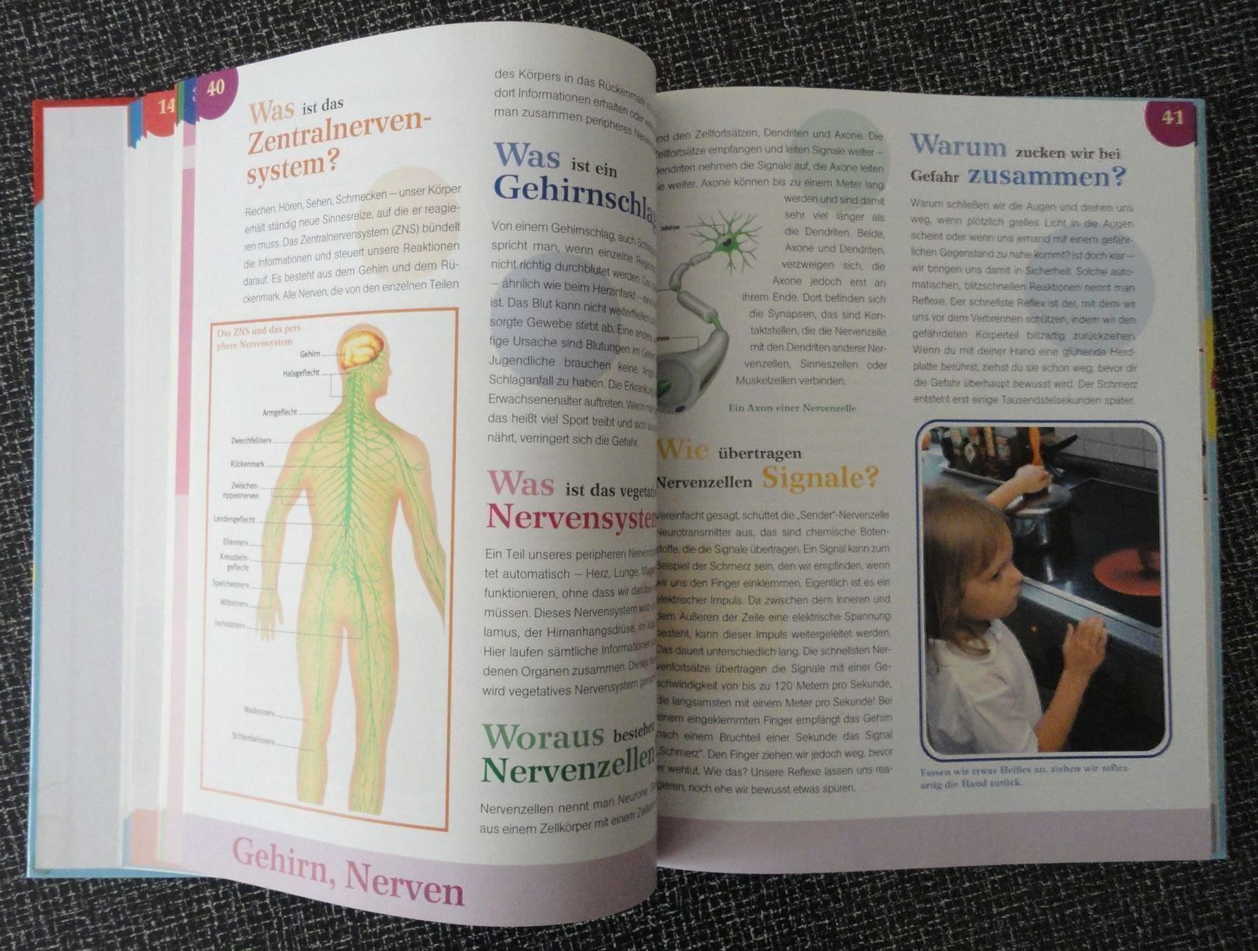 Bücher: Kinderbuch Unser Körper Kinderfragen – Neu (gemäss Beschreibung) aus zürich von parts5060 4