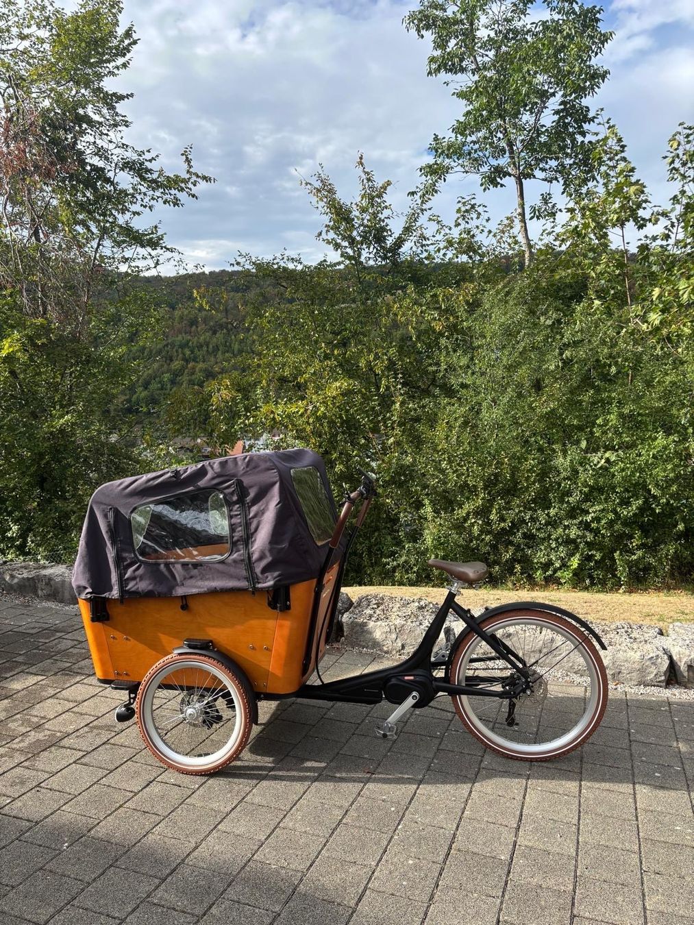 Ego Movement Biciclette: Cargobike EGO Movement Big Lebowski – Nuovo (secondo la descrizione) da Rupperswil venduto da Abcsale