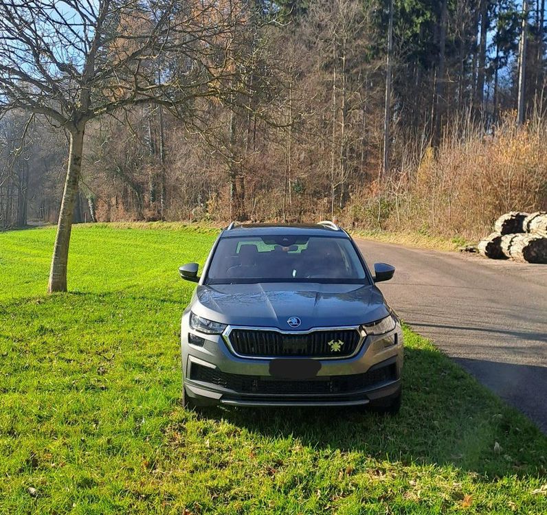 Skoda Sitzposition Auf Schlssel Speichern