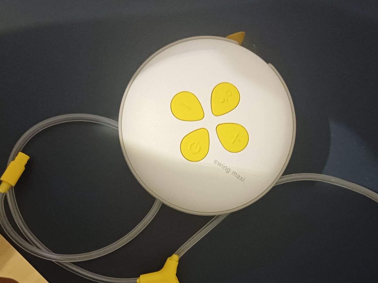 Medela Stillzubehör: Milchpumpe Swing Maxi Handsfree von MEDELA – Gebraucht aus Wiesendangen von Kare_1983 5