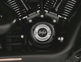 25600138 Harley- Davidson Timer Cover