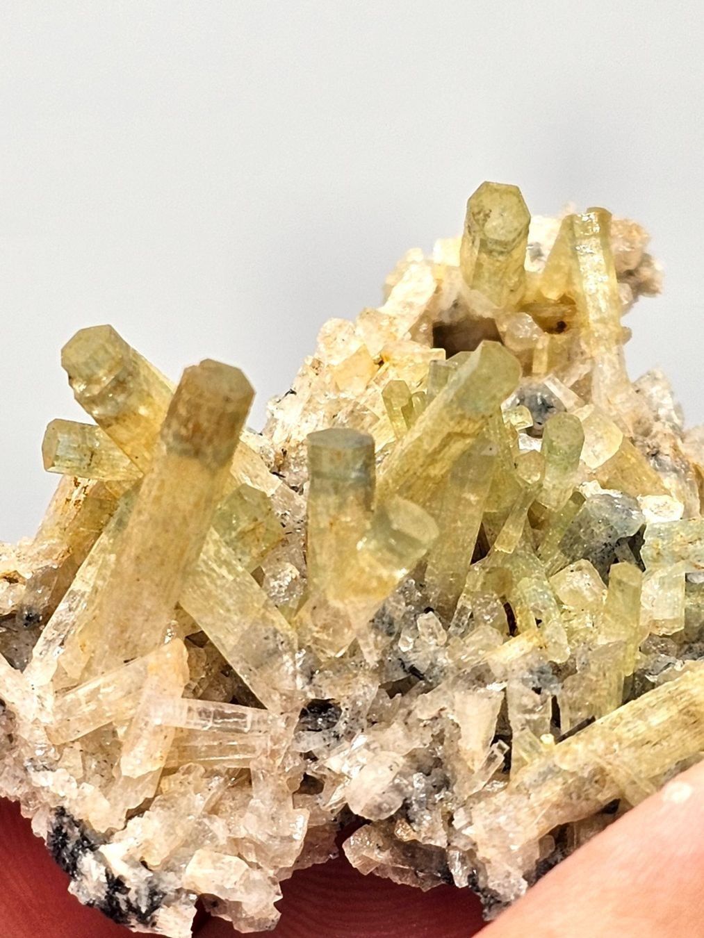 Mineralien & Heilsteine: Heliodor/Aquamarin mit Turmalin aus Namibia. – Gebraucht aus Figino von minshop 3