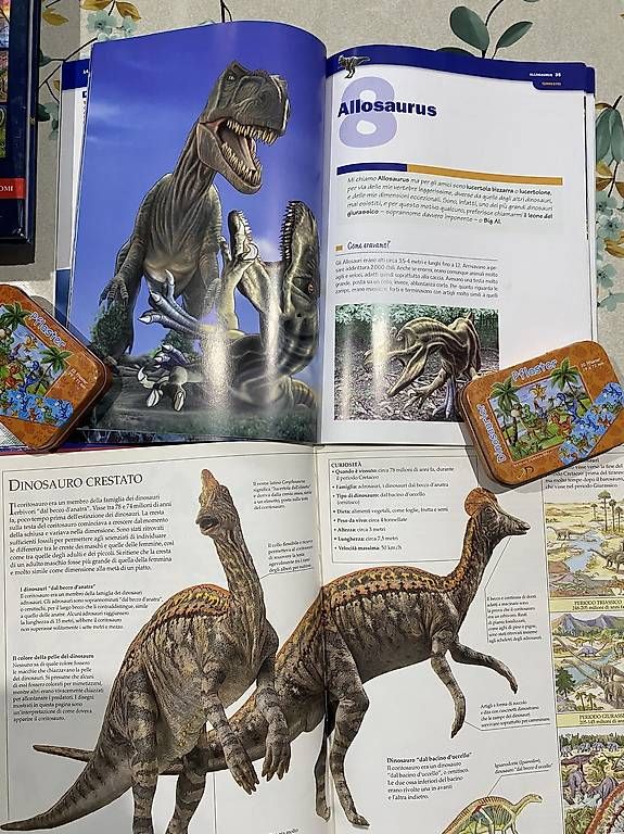 Libri: 7 libri dinosauri + libro draghi + libro puzzle – Usato da Castel San Pietro venduto da sab_lj2d 3