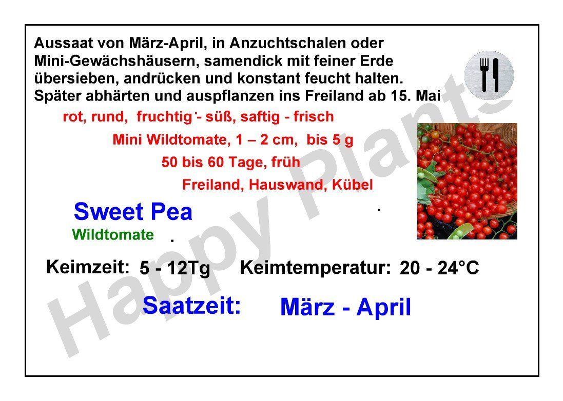 Piante & sementi: Sweet Pea - Wildtomate - 50 Samen – Nuovo e nell'imballaggio originale da Sumiswald venduto da Cham14559 2