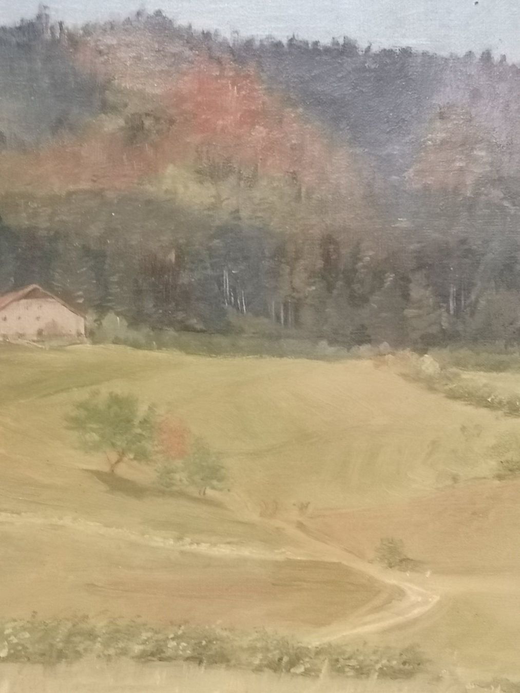 Dipinti: HUILE SUR TOILE SIGNÉE AUGSBURGER – Usato da Genève venduto da Qanil77 3