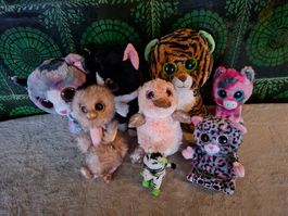 8 Ty Beanie Boos, grosse Augen, verschiedene Tiere, Top!