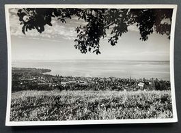 Zürichsee? Ort / Fotokarte ca, 1950