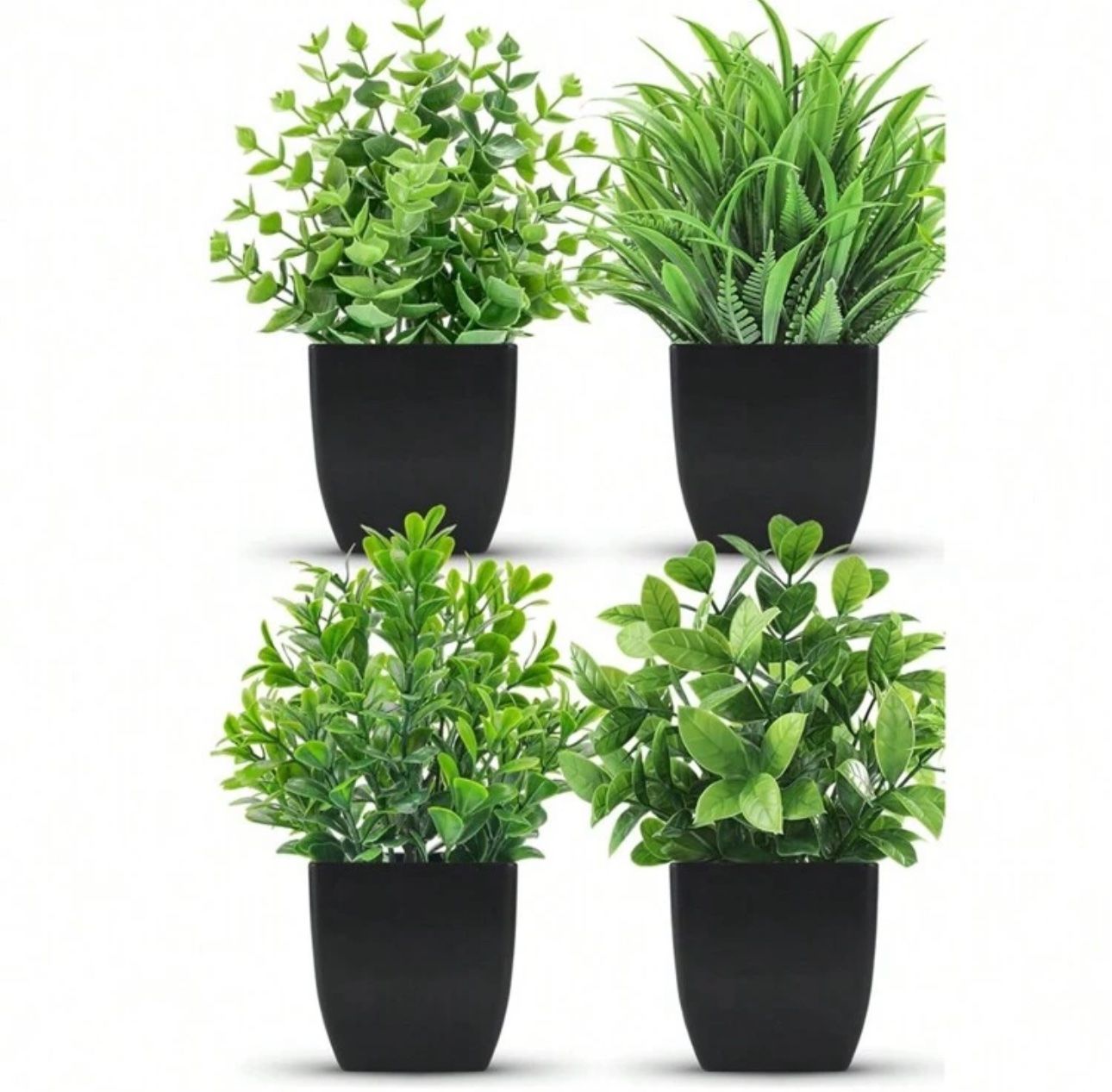 Piante & sementi: Set de 4 plantes artificielles – Nuovo e nell'imballaggio originale da Châtel-St-Denis venduto da Montclair_Swiss 5