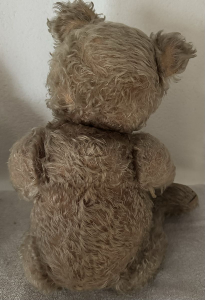 Steiff Giocattoli: Steiff Teddy – Usato da Binningen venduto da kal_5nsj 2